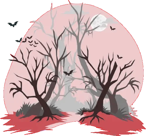 test image